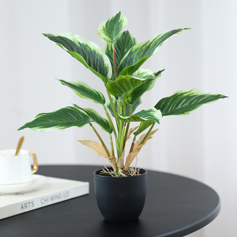 Bonsai Garden Layout - Symulacja Zielonych Roślin Pothos Rośliny Doniczkowe