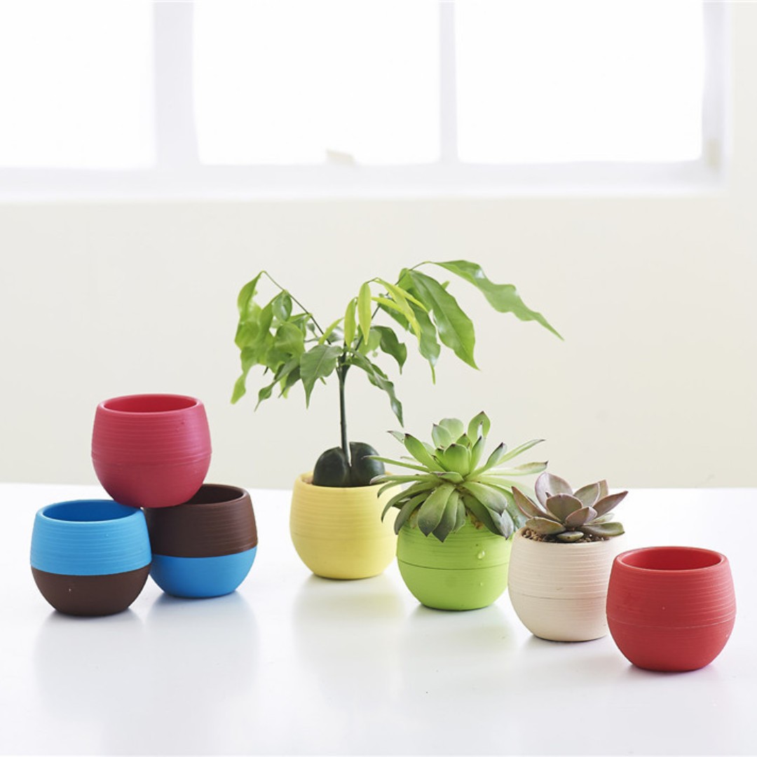 Bonsai Garden Nursery - Mini plastikowe doniczki ogrodnicze, doniczki sadzonek,