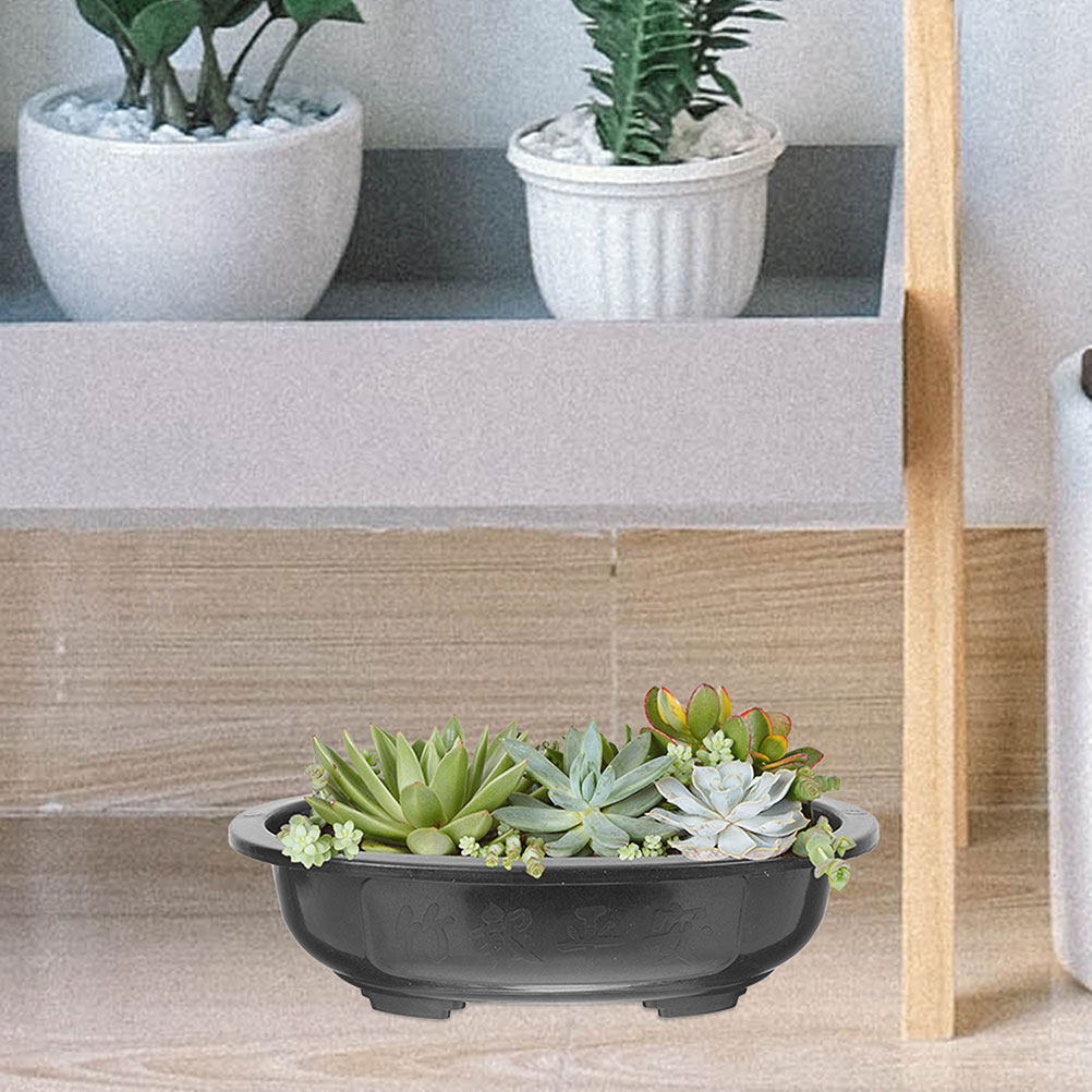 3 szt. Bardzo Duże Owalne Doni – Bonsai Garden Nursery recenzja i cena