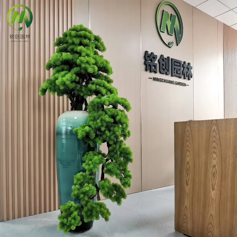 Dekoracyjna, wiecznie zielona  – Bonsai Tree Miniature Zen Garden recenzja i cena