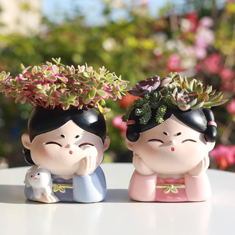 Żywica dynastia Tang Lady doni – Bonsai Garden Nursery recenzja i cena