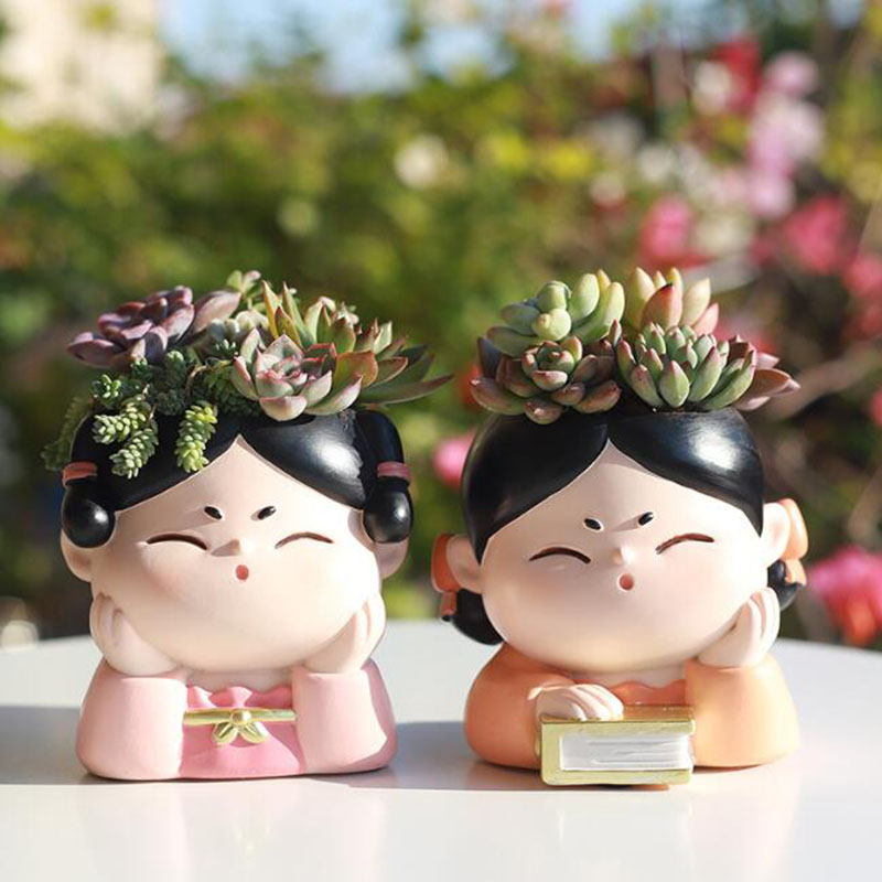 Żywica dynastia Tang Lady doni – Bonsai Garden Nursery recenzja i cena