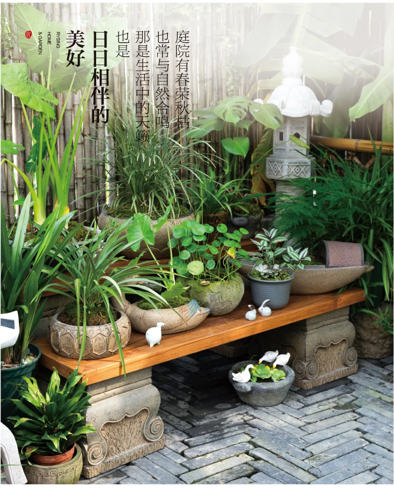 Układ Ogrodu na Tarasie, Chińs – Bonsai Garden Layout recenzja i cena