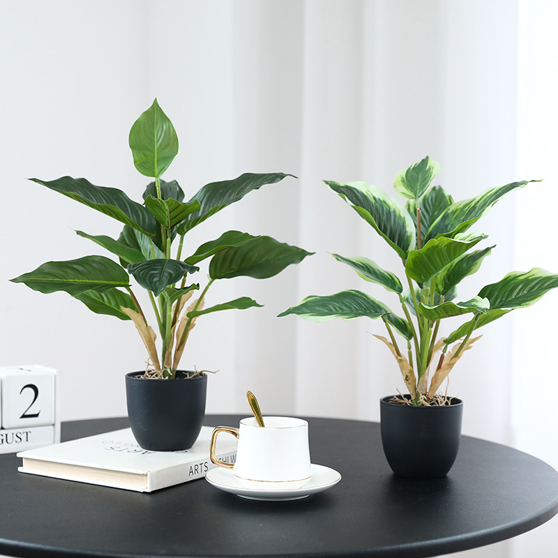 Symulacja Zielonych Roślin Pot – Bonsai Garden Layout recenzja i cena