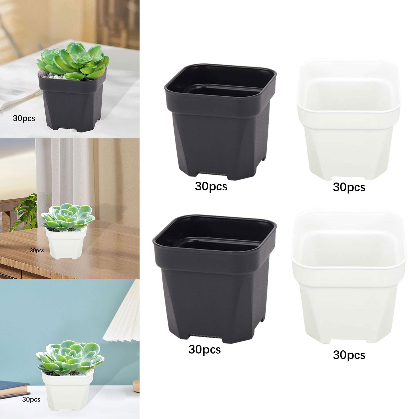30x Doniczki do szkółek roślin – Bonsai Garden Nursery recenzja i cena