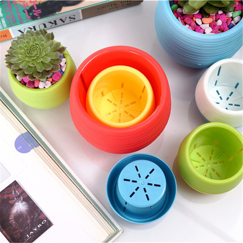 Mini plastikowe doniczki ogrod – Bonsai Garden Nursery recenzja i cena