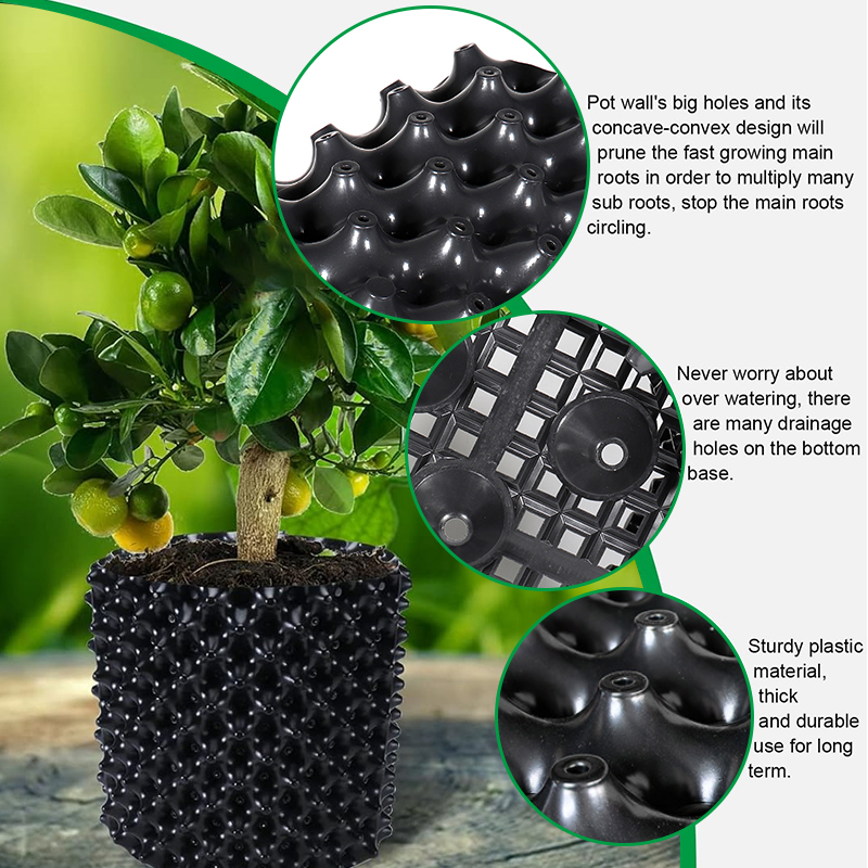 Pruning Nursery Trainer Fast R – Bonsai Garden Nursery recenzja i cena